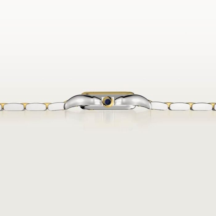 PANTHÈRE DE CARTIER STEEL WITH YELLOW GOLD