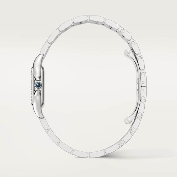 PANTHÈRE DE CARTIER WATCH BLUE