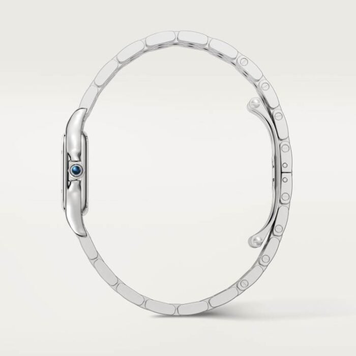 PANTHÈRE DE CARTIER WATCH BLACK