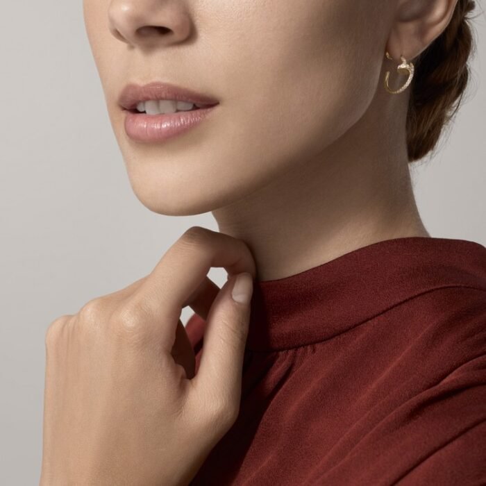 Cartier Juste Un Clou Earrings