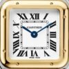PANTHÈRE DE CARTIER STEEL WITH YELLOW GOLD